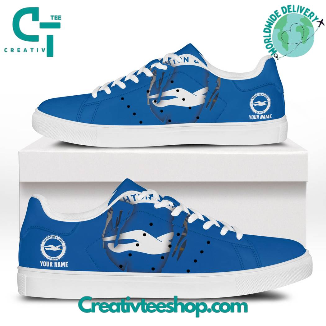 JWFancy Brighton Hove Albion Skate Stan Shoes Sneakes For Men And Women