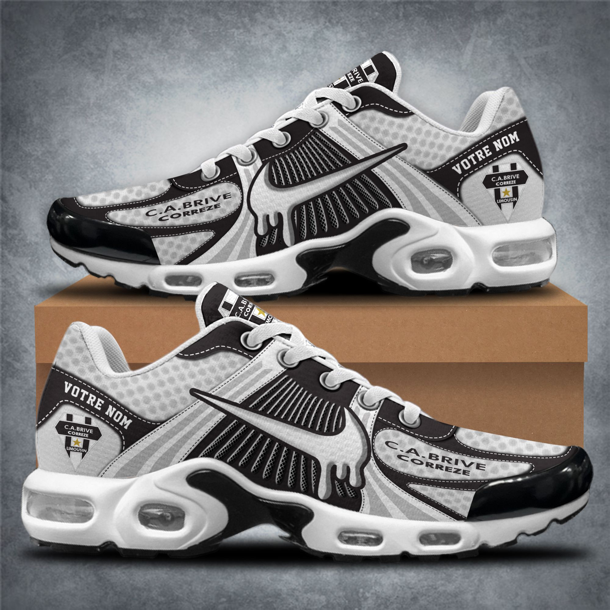 JWFancy CA Brive TN Shoes Sneakers For Men And Women