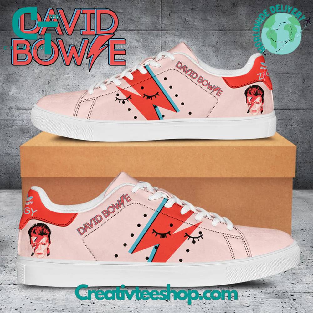 JWFancy David Bowie Skate Stan Shoes Sneakes For Men And Women