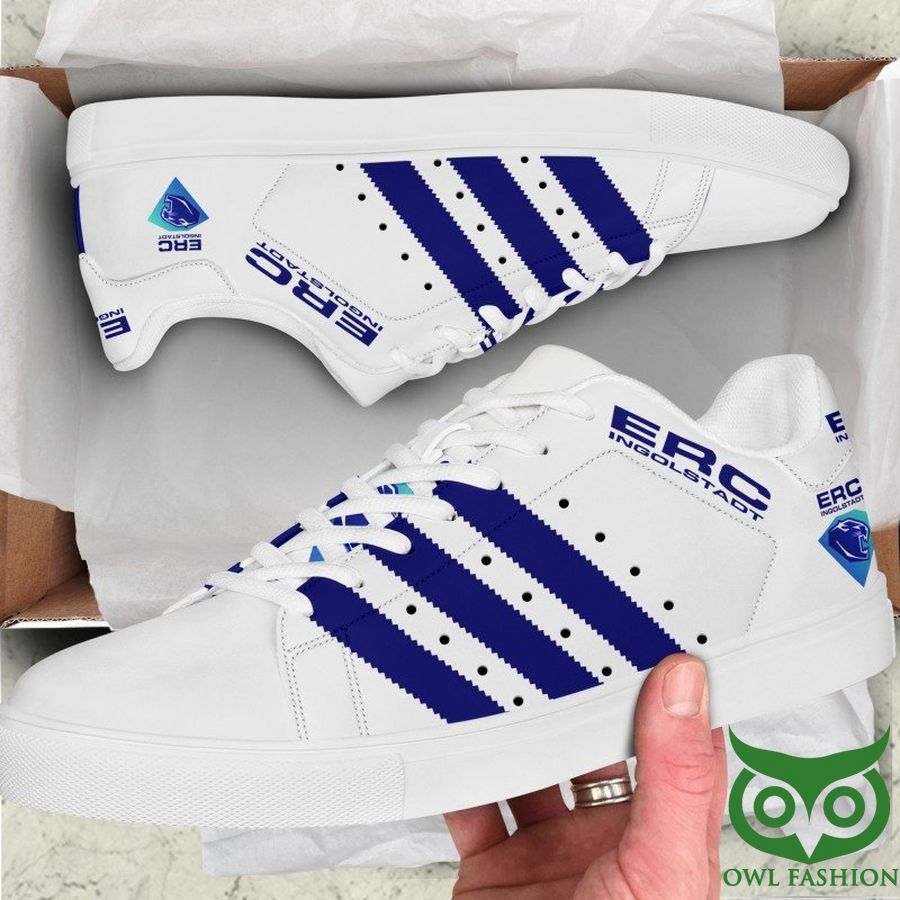 JWFancy ERC Ingolstadt Skate Stan Shoes Sneakes For Men And Women