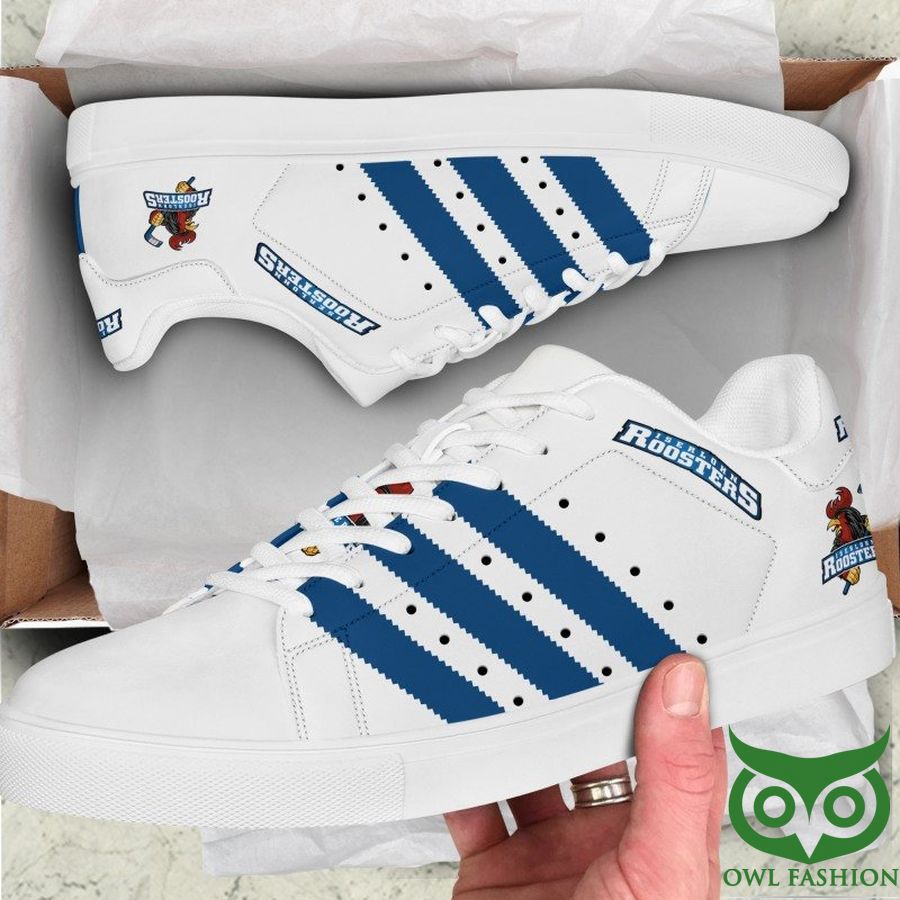 JWFancy Iserlohn Roosters Skate Stan Shoes Sneakes For Men And Women