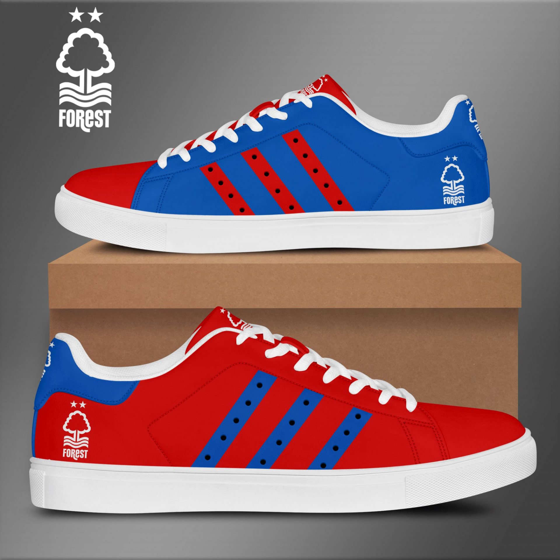 JWFancy Nottingham Forest FC Skate Stan Shoes Sneakes For Men And Women