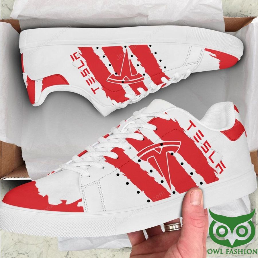 JWFancy Tesla Skate Stan Shoes Sneakes For Men And Women